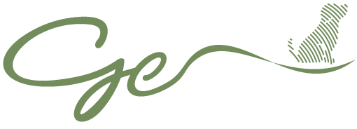 【眼科専門】麻布十番の動物病院GC グランクリュ アニマル アイクリニック