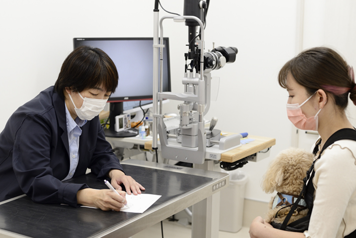 眼科専門動物病院GCの院長と患者様の問診風景